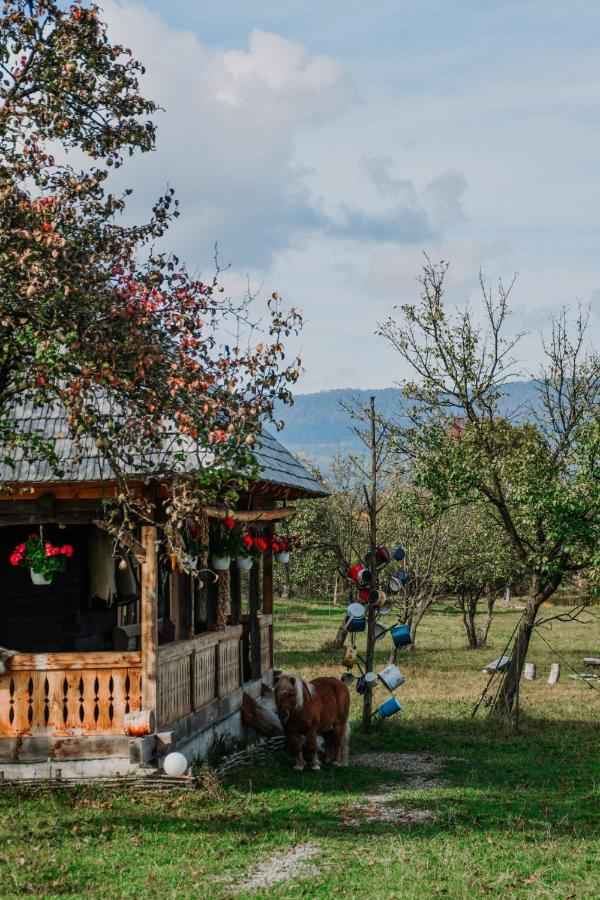 Casuta Din Gradina Διαμέρισμα Breb Εξωτερικό φωτογραφία